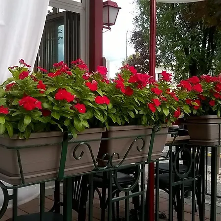 Romana 3* Lignano Sabbiadoro